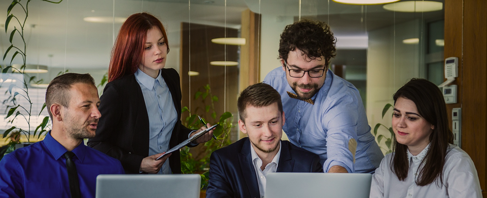 Team at work